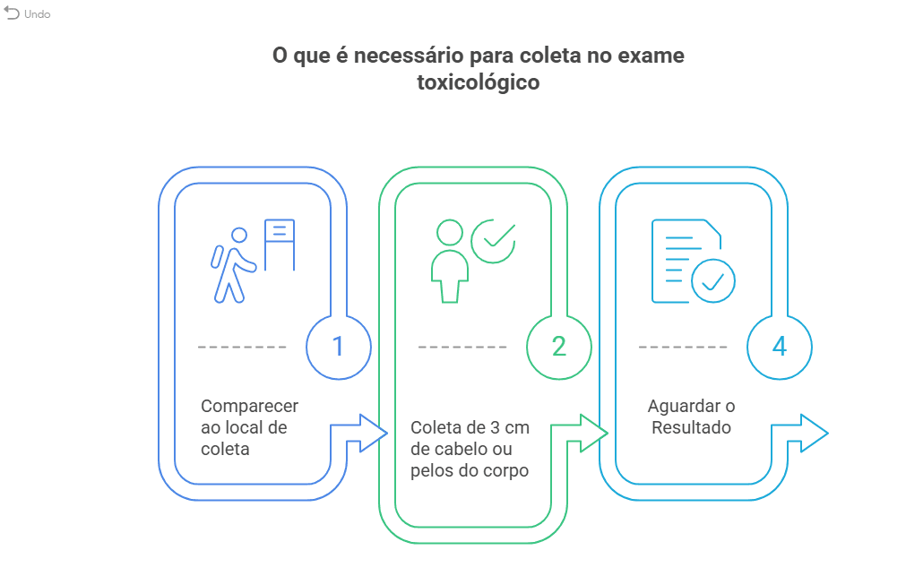 Infográfico sobre o que é necessário para coleta no exame toxicológico.