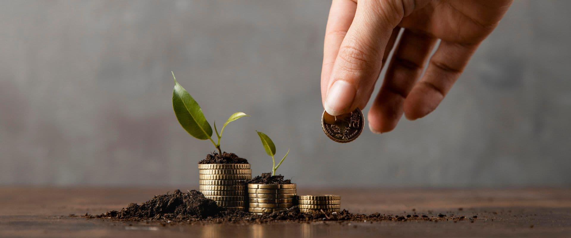 Imagem de uma mão colocando uma moeda de ouro em pilhas de moedas, com pequenas plantas crescendo ao lado, representando crescimento financeiro e sustentabilidade.